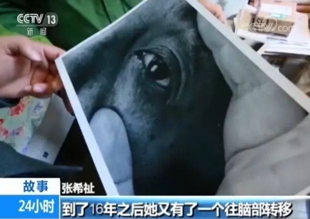 1543975053783781.jpg 微信图片_20181205095621.jpg