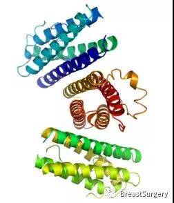 1544063391442217.jpg 微信图片_20181206102923.jpg