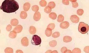 1544408131938557.jpg 微信图片_20181210101456.jpg