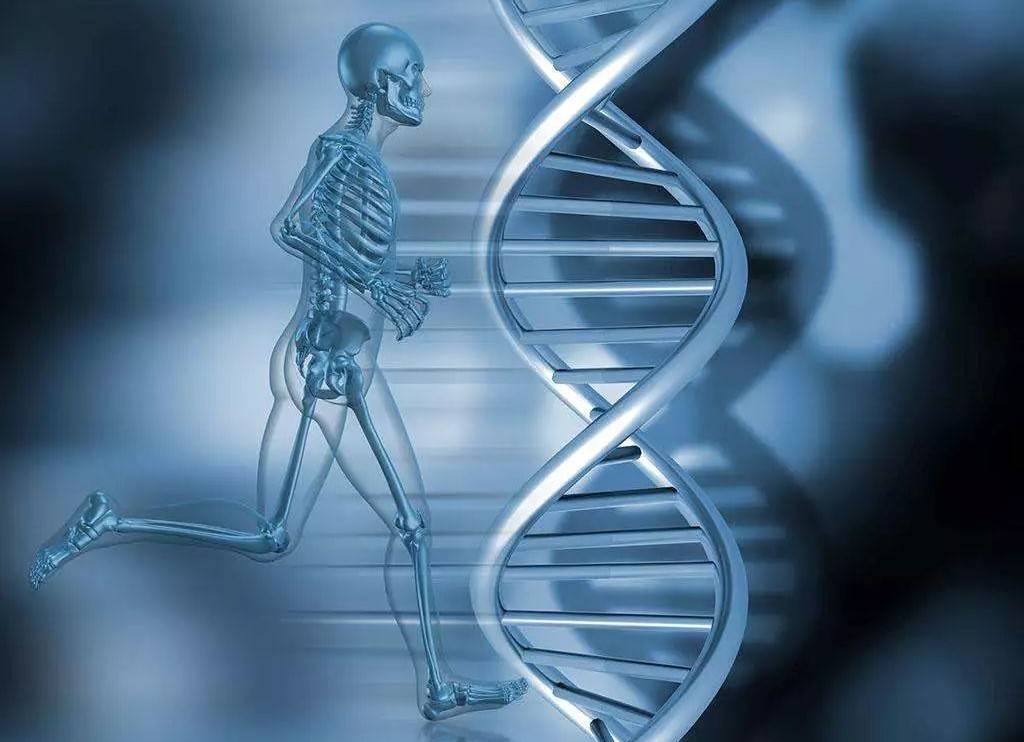 1544414280381746.jpg 微信图片_20181210115635.jpg