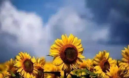 1544433651147820.jpg 微信图片_20181210172023.jpg