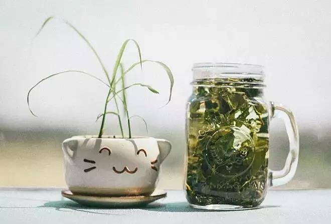 1544585643222497.jpg 微信图片_20181212113356.jpg