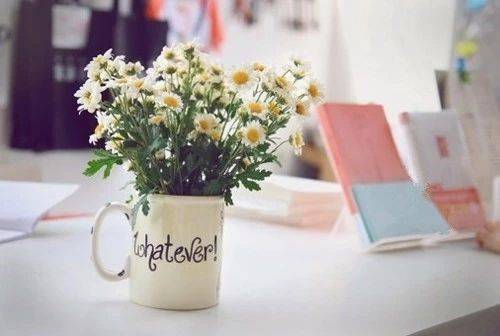 1544779970741765.jpg 微信图片_20181214173148.jpg