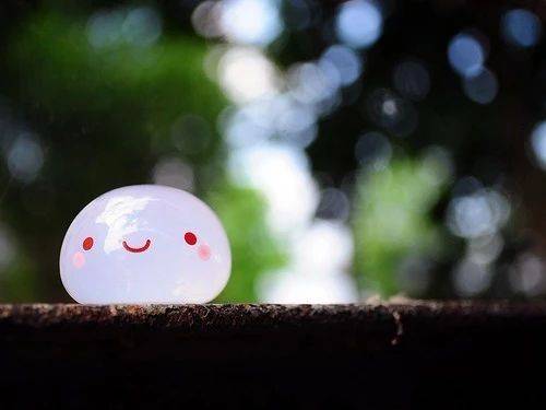 1544779980147401.jpg 微信图片_20181214173149.jpg