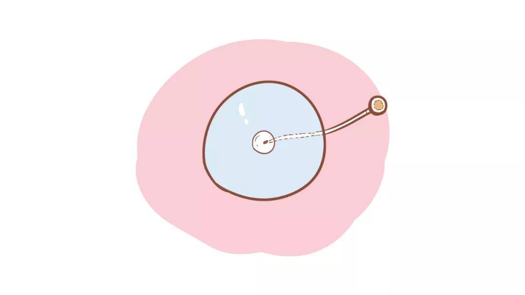 1545104370720957.jpg 微信图片_20181218113911.jpg