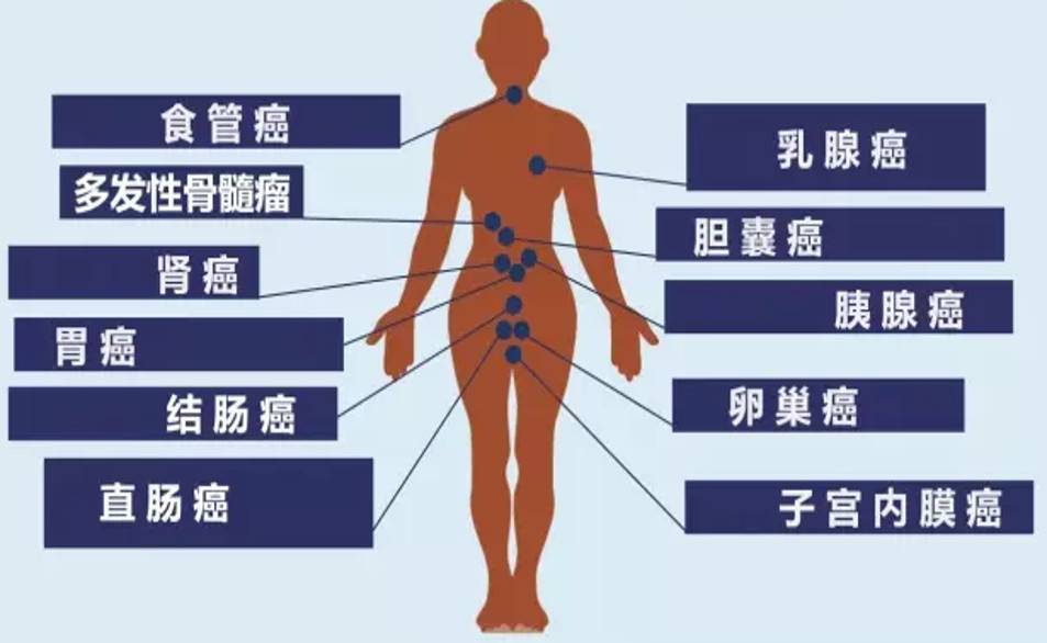 1545184551336689.jpg 微信图片_20181219095426.jpg