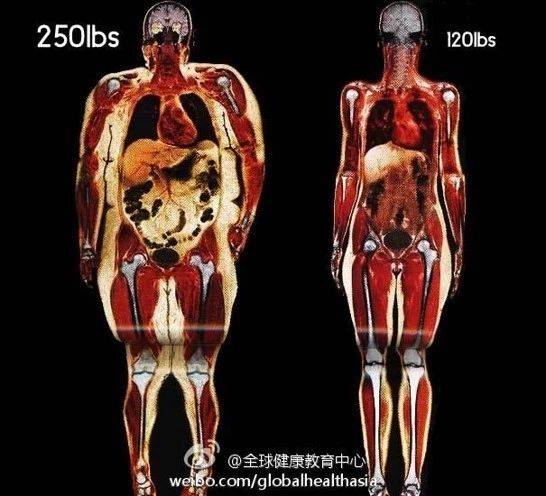 1545184576673950.jpg 微信图片_20181219095428.jpg