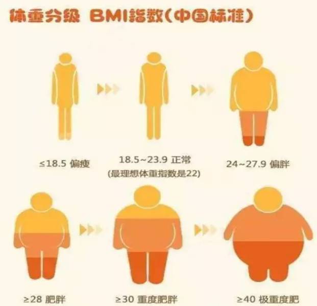 1545184584908670.jpg 微信图片_20181219095429.jpg