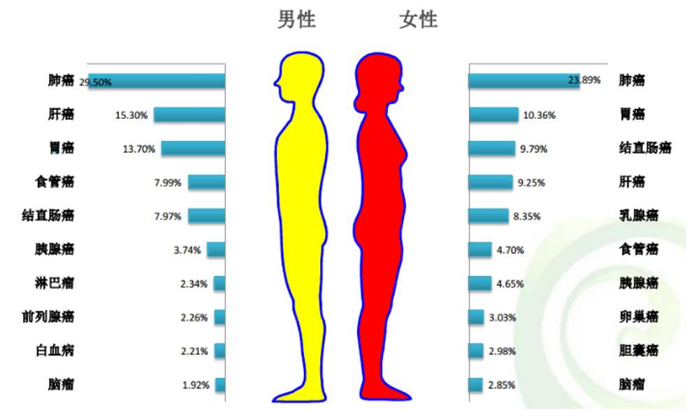 1545184596632918.jpg 微信图片_20181219095431.jpg