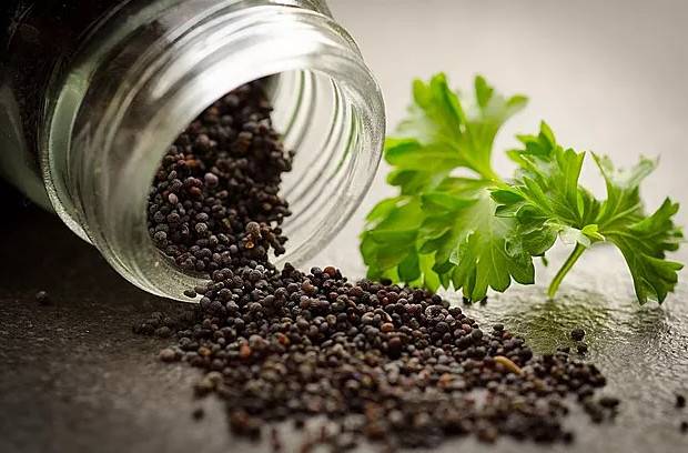 1545185368831920.jpg 微信图片_20181219100857.jpg