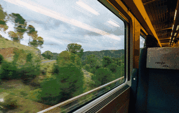 1545211709445685.gif 微信图片_20181219172801.gif