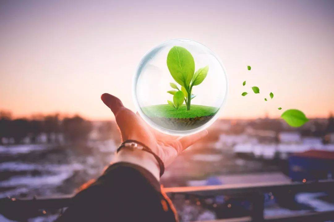 1545276612133204.jpg 微信图片_20181220112718.jpg