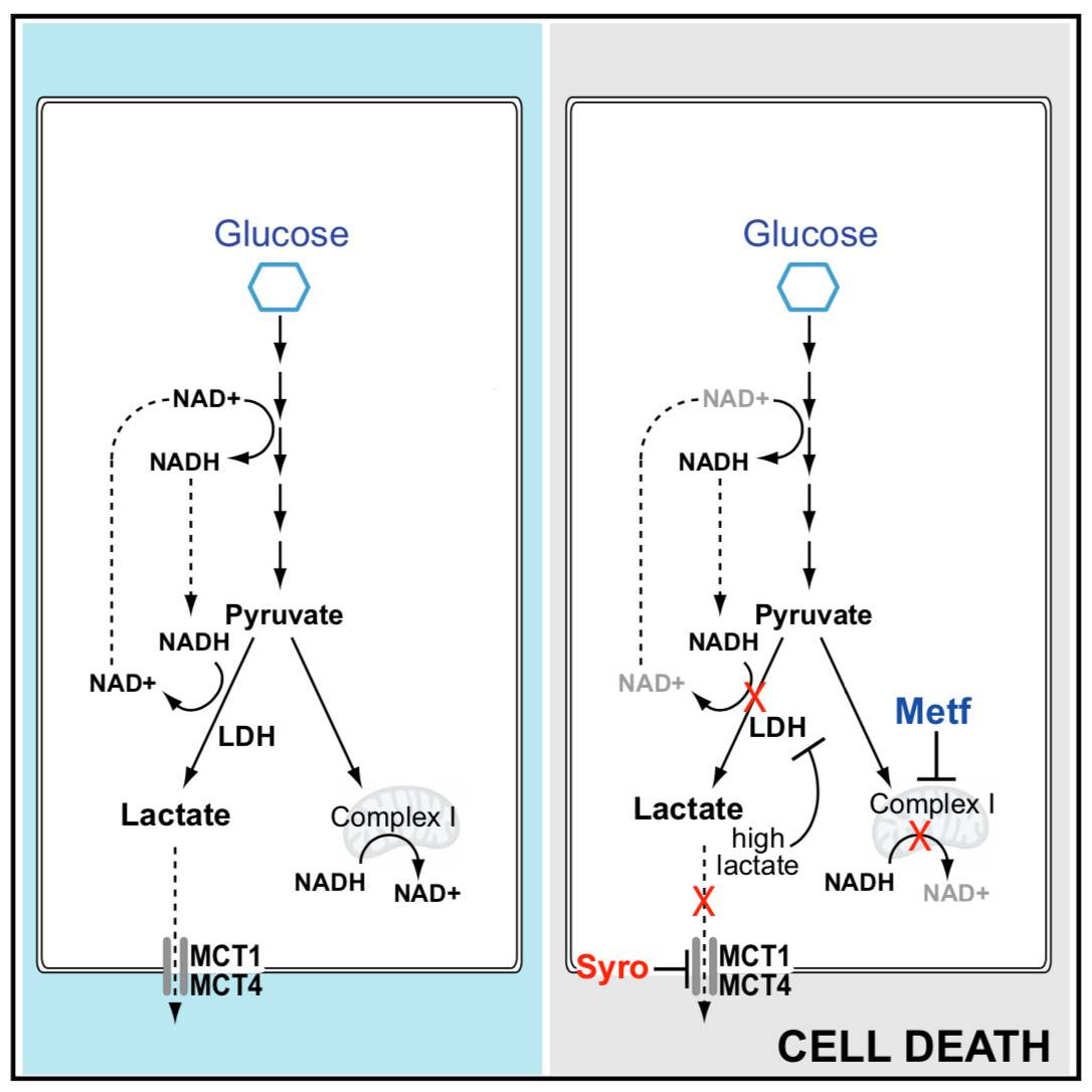 1545881148311347.jpg 微信图片_20181227112506.jpg