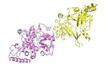 1545903845505457.jpg 微信图片_20181227174350.jpg