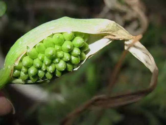 1546072319659366.jpg 微信图片_20181229163144.jpg