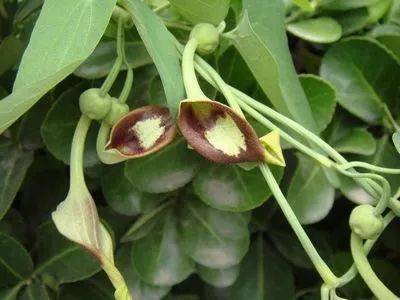 1546072338672053.jpg 微信图片_20181229163142.jpg