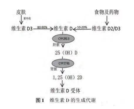 1546420911243538.jpg 微信图片_20190102171942.jpg