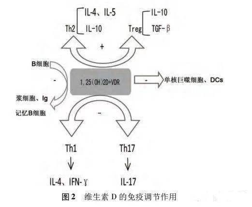 1546420923822352.jpg 微信图片_20190102171947.jpg