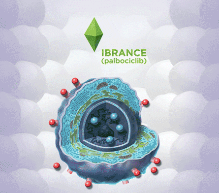 1546498604544482.gif 微信图片_20190103145634.gif