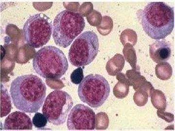 1546841849358137.jpg 微信图片_20190107141700.jpg