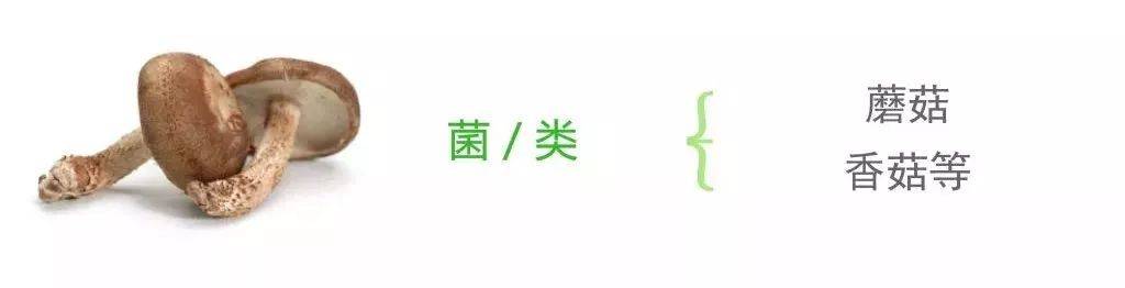 1546850383849059.jpg 微信图片_20190107163052.jpg