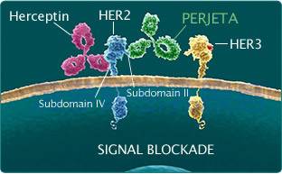 1547202362533111.jpg 微信图片_20190111182451.jpg