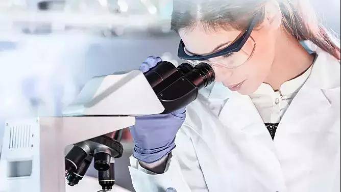 1547435223293335.jpg 微信图片_20190114110553.jpg