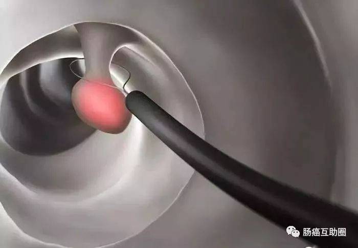 1548068915326227.jpg 微信图片_20190121190817.jpg