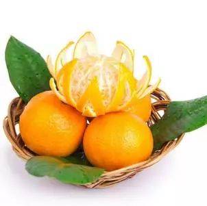 1548125738819514.jpg 微信图片_20190122105501.jpg