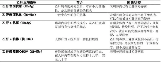 1548326456688844.png 2.png