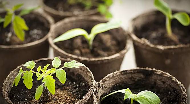 1548647131873180.jpg 微信图片_20190128114401.jpg