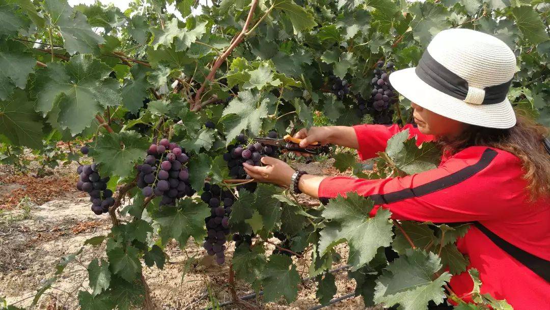 1548897410604719.jpg 微信图片_20190131091632.jpg