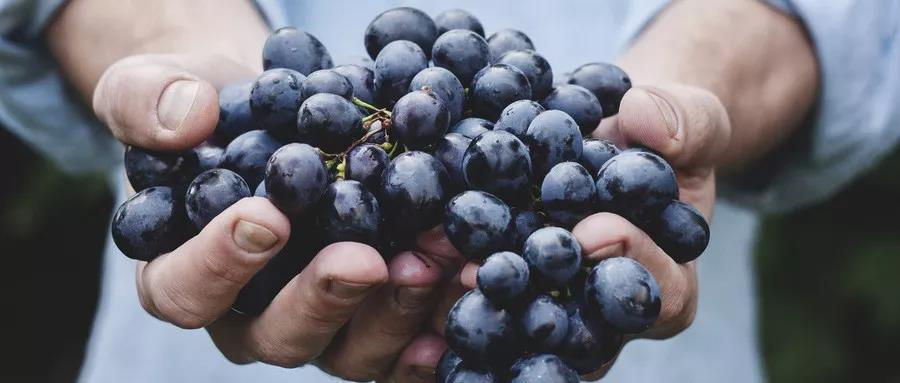 1550476987706219.png 图片17.png