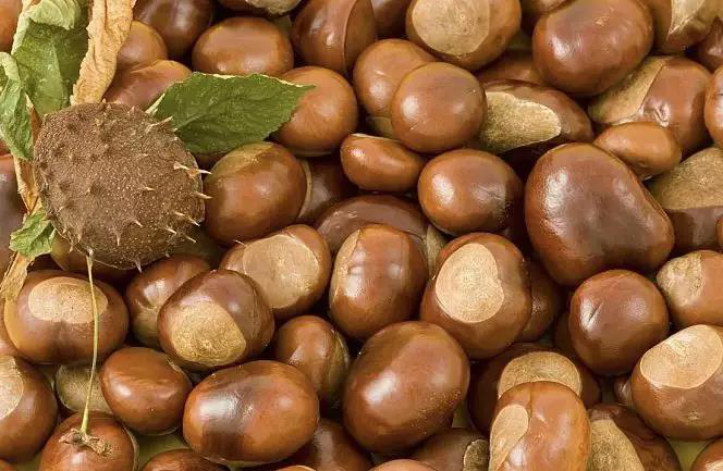 1550479668510800.png 图片106.png