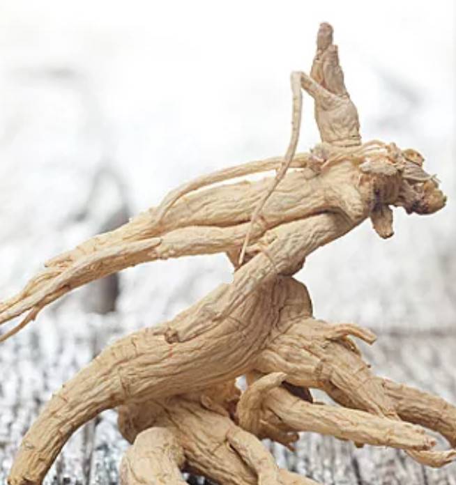 1550479825253459.jpg 微信图片_20190218164824.jpg