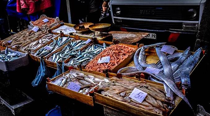 1550479834116083.jpg 微信图片_20190218164825.jpg