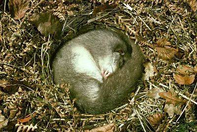 1550542874141092.jpg 微信图片_20190219102016.jpg