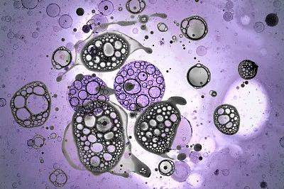 1550542902259582.jpg 微信图片_20190219102022.jpg