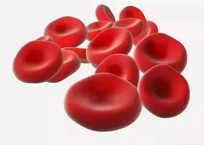 1550826012469894.jpg 3.jpg