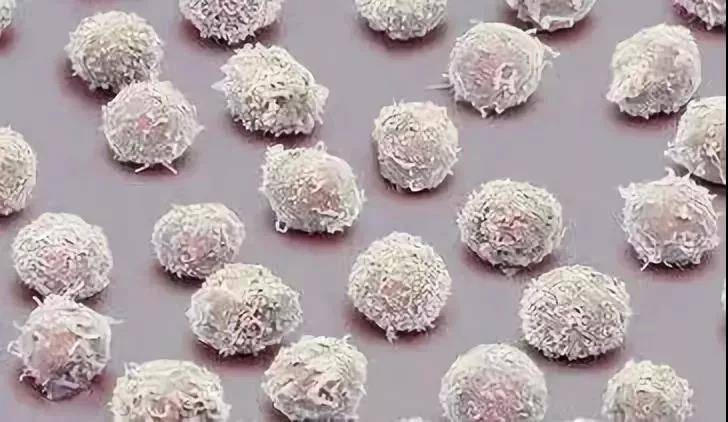 1550826036666374.jpg 5.jpg