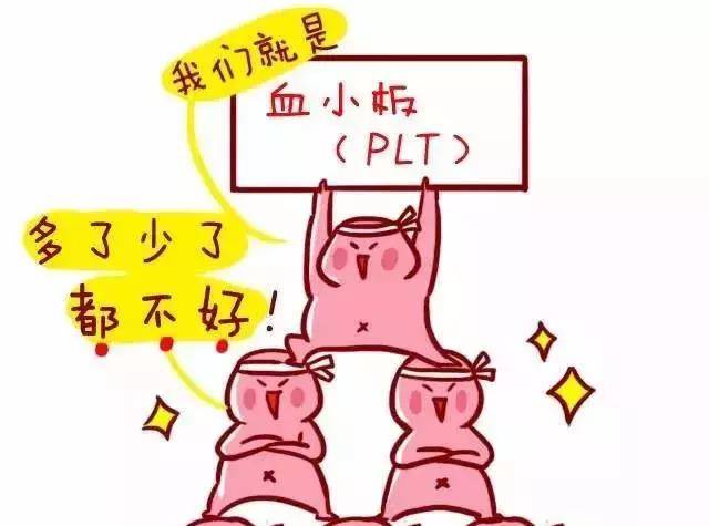 1550826050325057.jpg 6.jpg