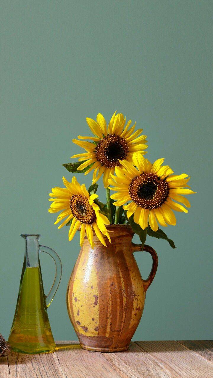 1551015808219632.jpg magazine-unlock-05-2.3.1214-_5FE7111CAA1265ADBF1E.jpg