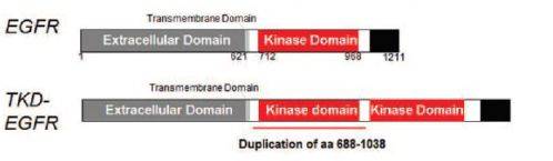 1551428221634177.jpeg 640.jpeg