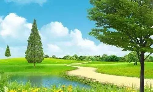 1551435586888239.jpg 2.jpg