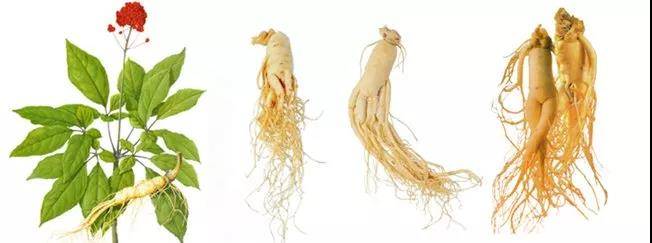 1551435605628198.jpg 4.jpg