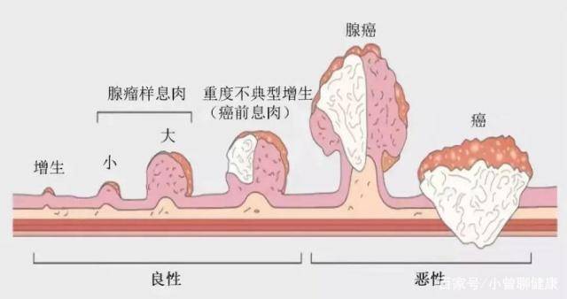 1551767224291251.jpg 1.jpg