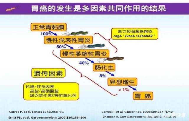 1551767239595873.jpg 2.jpg