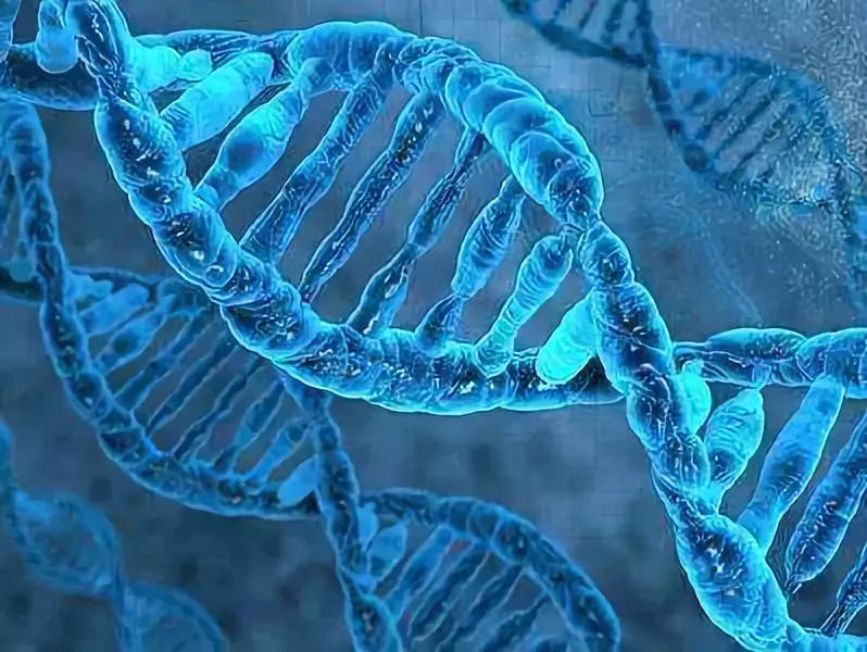 1551841047633940.png 1.png