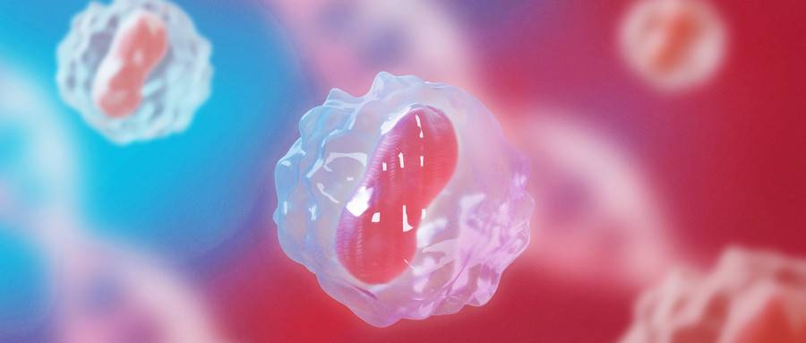 摄图网_401011620_wx (1).jpg