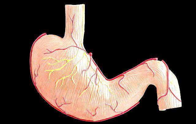 1552271475303333.jpeg 1.jpeg